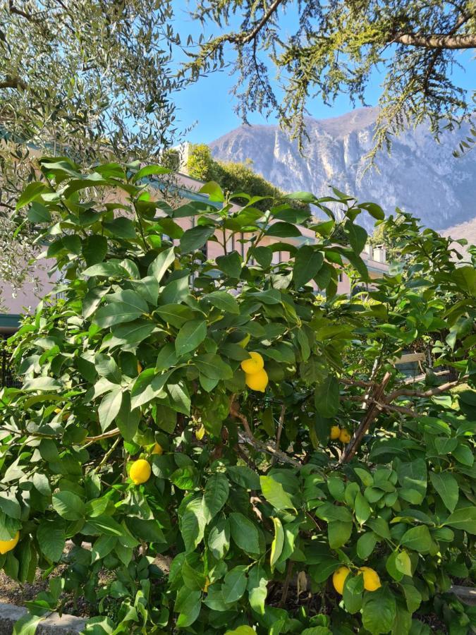 Apartmán Le Peonie Riva del Garda Exteriér fotografie